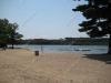 swin-2_wm.jpg