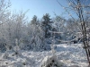 first-snow-dec-2009-franklin-ma-1.jpg