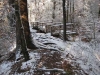 first-snow-dec-2009-franklin-ma-6.jpg