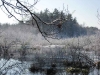 first-snow-dec-2009-franklin-ma-7.jpg