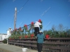 franklin-ma-decorate-1.jpg