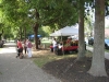 farmers-market-corn.jpg