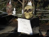 franklin-ma-halloween10.jpg