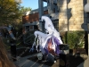 franklin-ma-halloween11.jpg