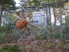 franklin-ma-halloween7.jpg