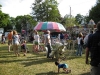 franklin-ma-4th-july13.jpg