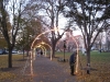 franklin-ma-light-common7.jpg