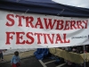 strawberry-festival-2009-franklin-ma1.jpg