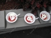 strawberry-festival-2009-franklin-ma5.jpg