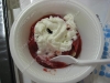 strawberry-festival-2009-franklin-ma6.jpg