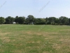 open-field_wm.jpg