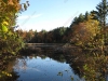 franklin-ma-fall-10.jpg