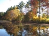 franklin-ma-fall-11.jpg