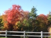franklin-ma-fall-18.jpg