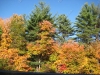 franklin-ma-fall-19.jpg