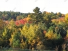 franklin-ma-fall-2.jpg