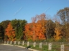 franklin-ma-fall-20.jpg
