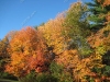 franklin-ma-fall-21.jpg