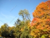 franklin-ma-fall-22.jpg