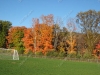 franklin-ma-fall-26.jpg