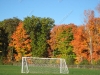 franklin-ma-fall-27.jpg