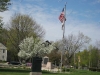 franklin-ma-spring-11.jpg