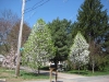 franklin-ma-spring-13.jpg