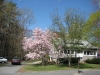 Franklin Photos - Spring