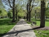 franklin-ma-town-common-walk.jpg