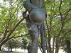 Franklin Photos - Town Common