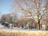 franklin-ma-winter-17.jpg