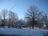 franklin-ma-winter-19.jpg