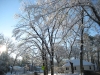franklin-ma-winter-21.jpg