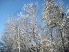 franklin-ma-winter-22.jpg