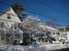 franklin-ma-winter-24.jpg