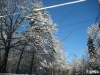 franklin-ma-winter-26.jpg