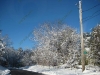 franklin-ma-winter-27.jpg