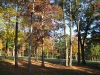 maplegate-country-club-bellingham-ma-3.jpg