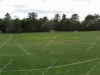 more-fields_wm.jpg