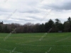 second-field_wm.jpg