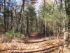 broad-trail_wm.jpg