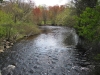 charles-river_wm.jpg