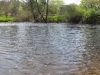 view-of-river_wm.jpg