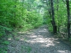broad-trail.jpg