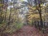 broad-trail_wm.jpg