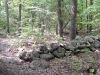 trail-passes-stone-walls_wm.jpg