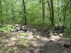 well-marked-trail_wm.jpg