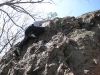 easy-rock-face_wm.jpg