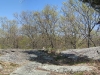 full-view-of-top_wm.jpg