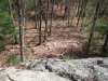 land-below_wm.jpg
